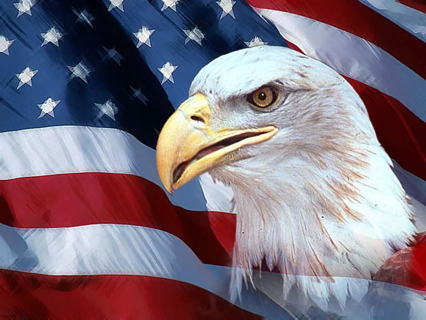 Patriotic (46), Patriotic American Flag HD wallpaper | Pxfuel