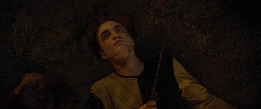 Goblet of Fire Cedric Diggory Screencaps - Cedric Diggory HD wallpaper