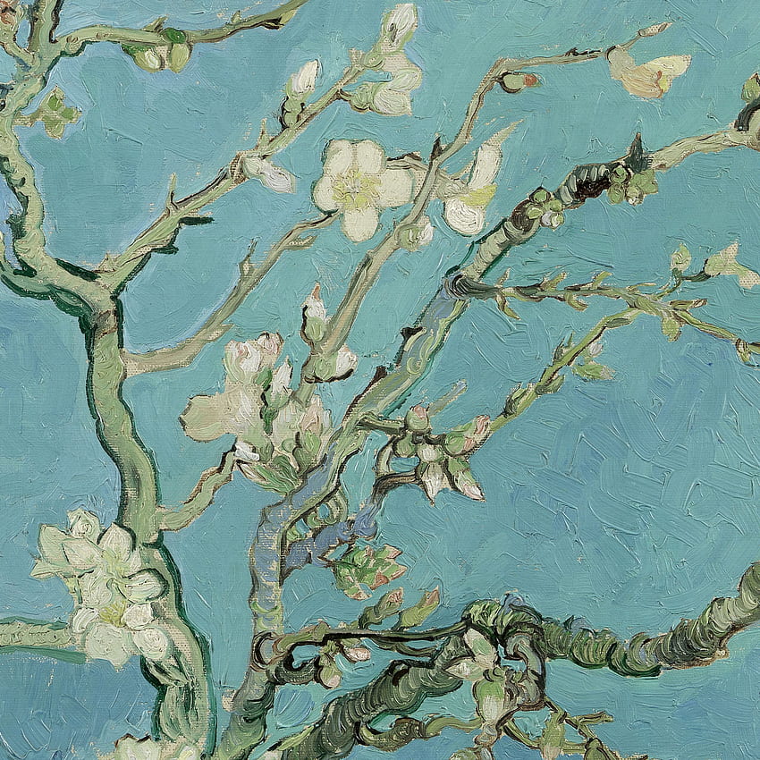 Van Gogh Almond Blossom - Магазин в музея на Ван Гог, Van Gogh Almond Blossoms HD тапет за телефон