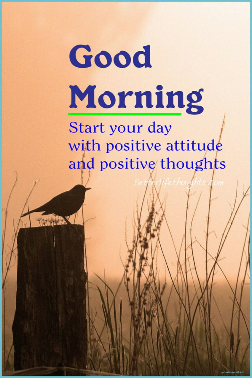Top 6 Good Morning Quotes And To Bring Sunshine In Life - Good ...