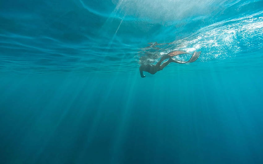 Snorkle Dive, Deep Sea Diver HD wallpaper