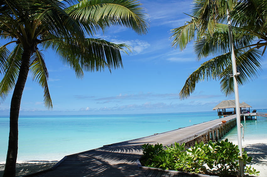 Natur, Strand, Tropen, schön, es ist schön, Malediven HD-Hintergrundbild