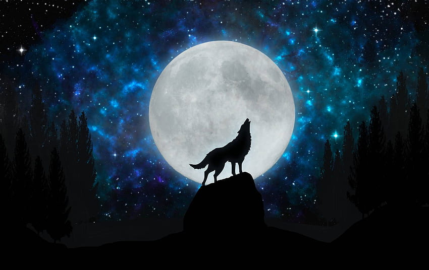 Premium Vector  Purple wallpaper with a wolf howling at the moon vector  illustration