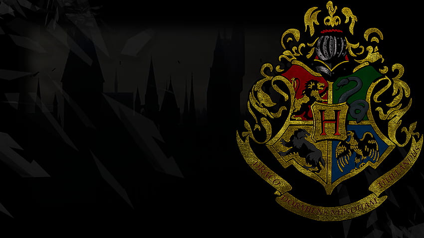 Film - Harry Potter Gryffindor Slytherin Hufflepuff Ravenclaw Wallpaper HD