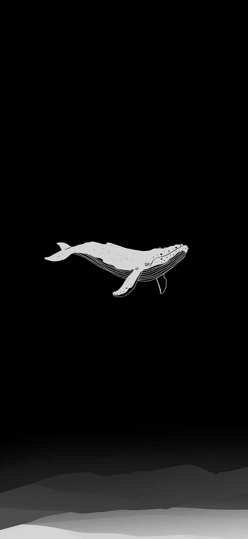 Smartfon Amoled, wieloryb minimalistyczny Tapeta na telefon HD