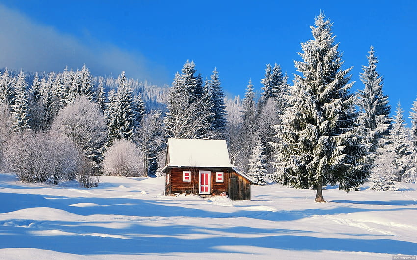 Cabaña cubierta de nieve, madera, invierno, escarcha, colinas, pendiente, casa, paisaje, hermosa, montaña, cabaña, nieve, choza, árboles, cielo, cabaña, bosque fondo de pantalla