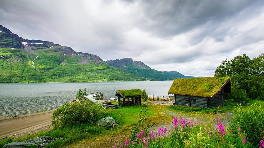 ノルウェー 川岸 きれいな草が茂ったコテージ 山小屋 風景 草 美しい小道 海岸 素敵な川。 風光明媚な風景、風景、山小屋、夏の小屋 高画質の壁紙