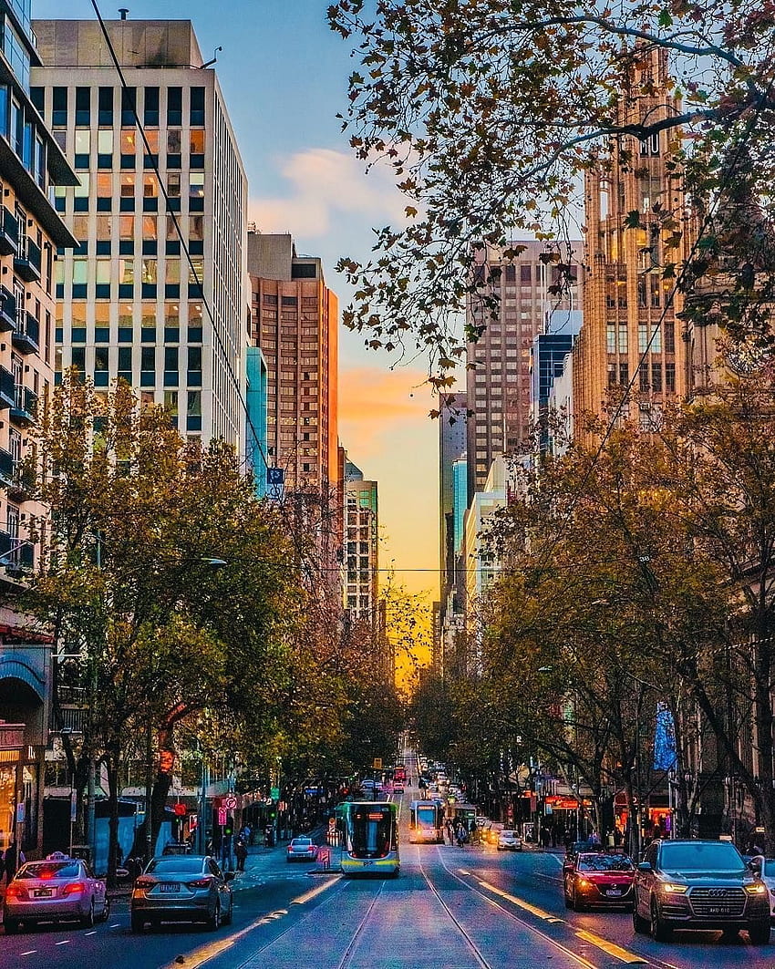 Melbourne Australia en Instagram: “Frescas noches de verano en fondo de pantalla del teléfono
