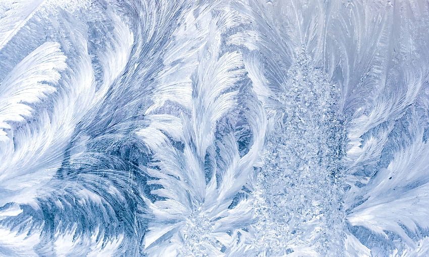 . Textures. . . glass, frost, winter, pattern, frost, Frosty Winter HD wallpaper