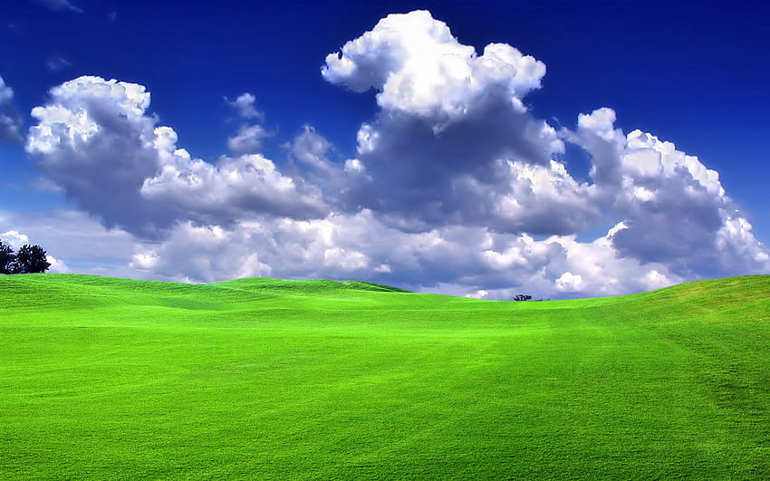 Bliss Field of Grass, tarla, bulutlar, gökyüzü, doğa, çim HD duvar kağıdı