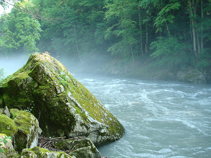 자연, 바위, 돌, 이끼, 산 강, Adygea HD 월페이퍼