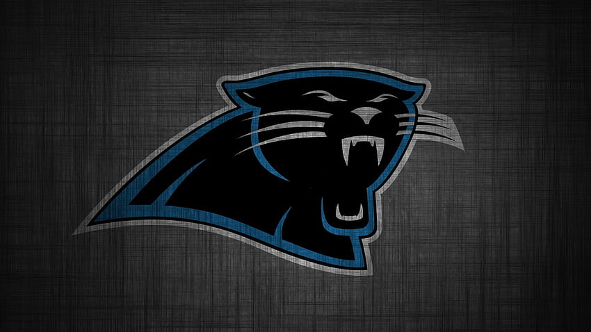 Zendha: Carolina Panthers HD phone wallpaper