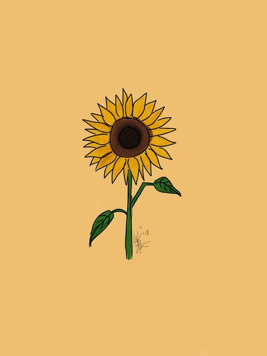 Yellow Aesthetic Sunflowers (, ) - Aesthetic Sunflower Background iPhone HD  phone wallpaper | Pxfuel