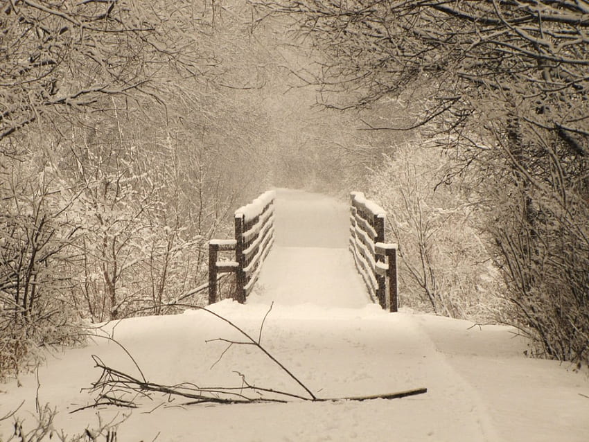 winter landscape, winter, bridge, forest, snow HD wallpaper