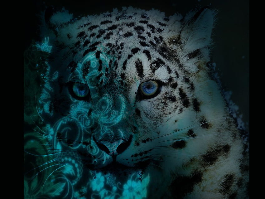 Mac Os X Snow Leopard - Snow Leopard, Cool Leopard papel de parede HD