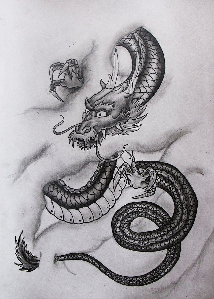 Vintage Dragon Sketch Tattoo Art On An Antique Background Photo And Picture  For Free Download - Pngtree