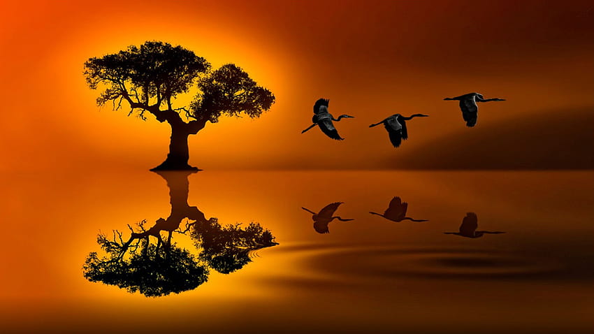 Sunset Lonely Tree Red Sky Reflection In Lake Water Travel Crane HD wallpaper