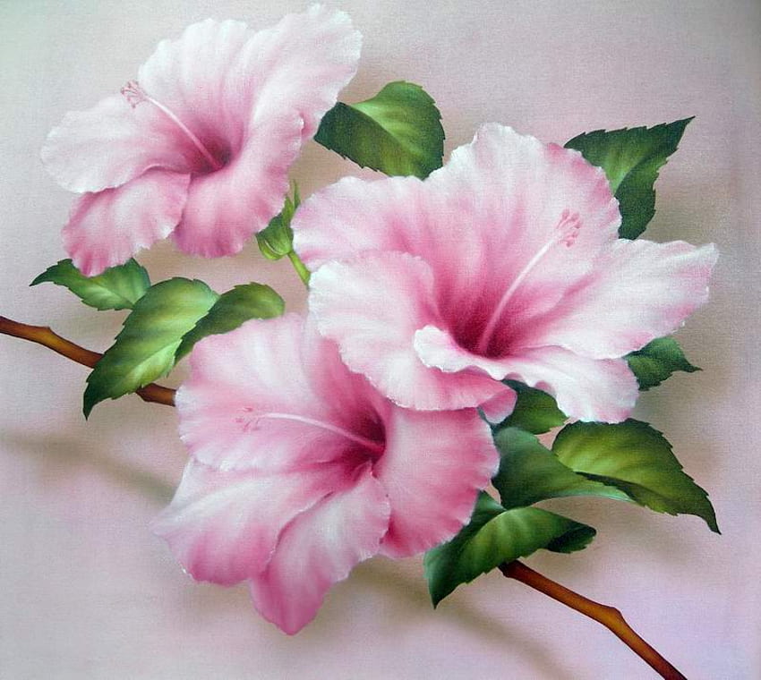 Pink Hibiscus, pink, leaves, stem, painting, flowers, hibiscus HD wallpaper