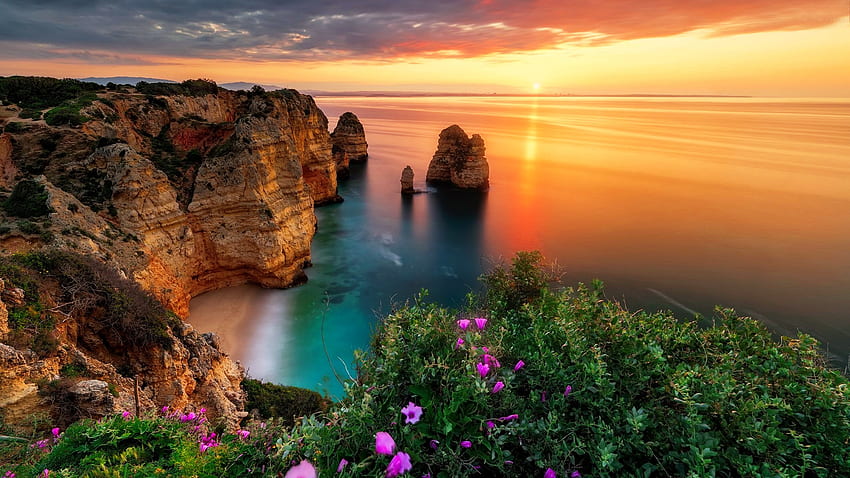 La bahía del sueño, flores silvestres, reflejo, bahía, cielo, rocas, sueño, puesta de sol, playa fondo de pantalla
