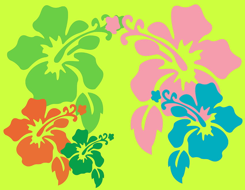 Hawaiian flowers background HD wallpapers | Pxfuel