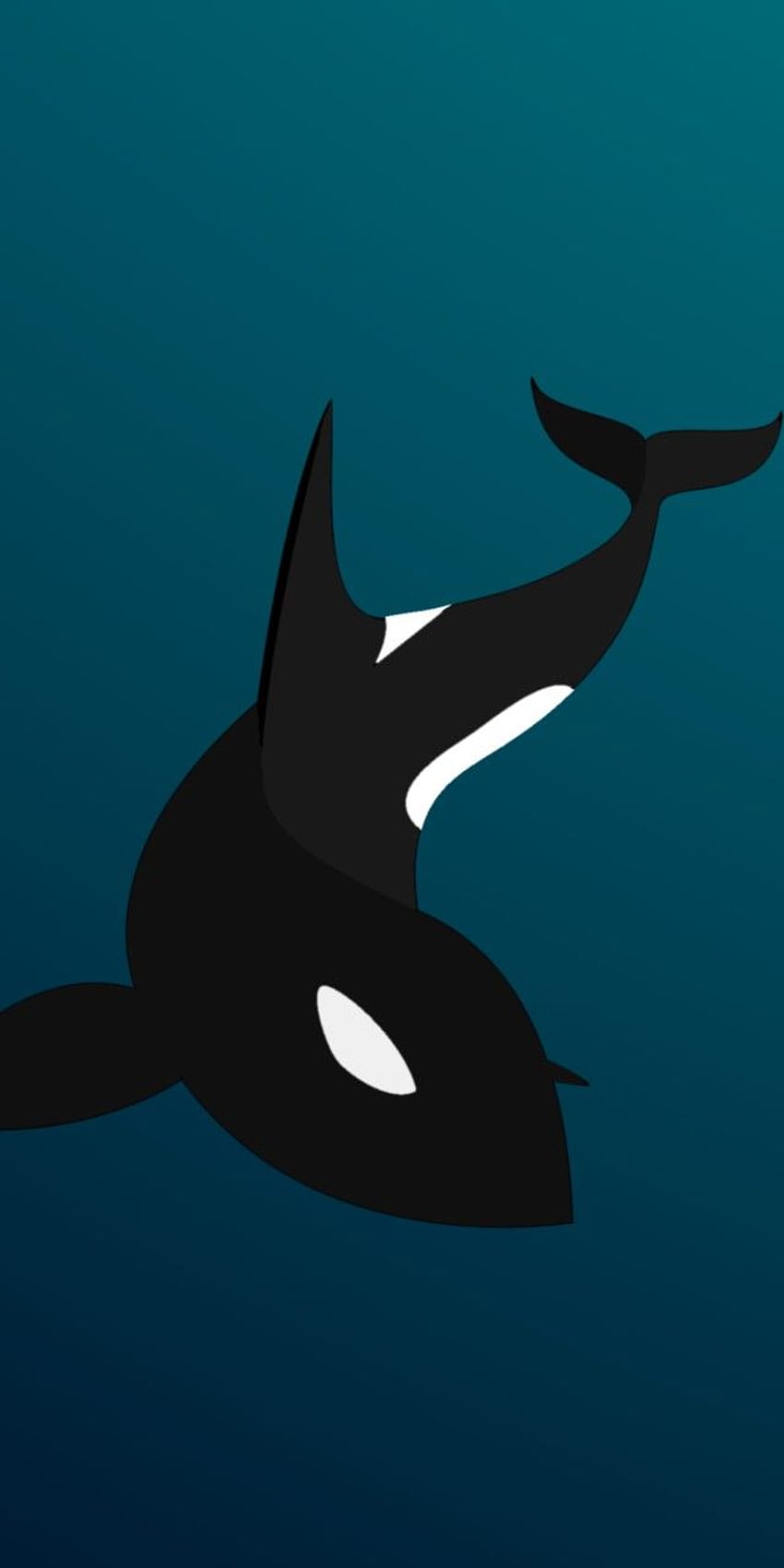 Flat Orca Phone - Killer Whale, di Jakpost.travel wallpaper ponsel HD