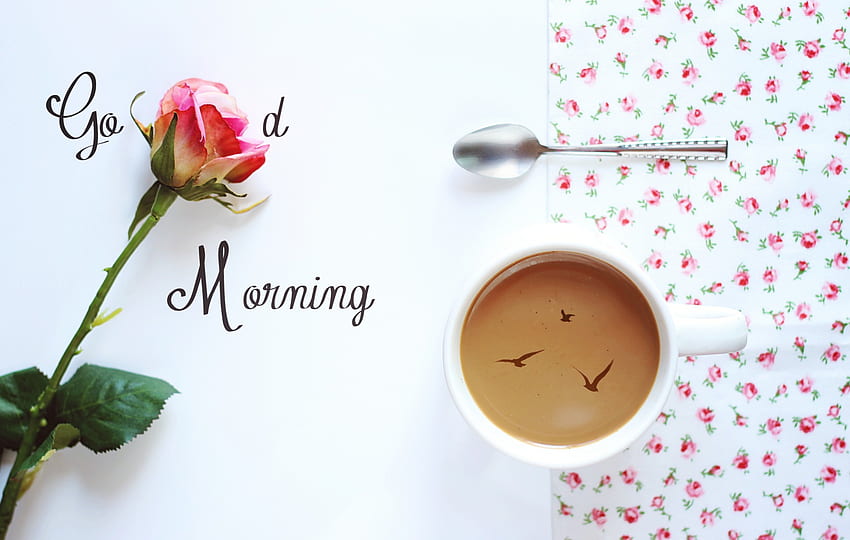 อรุณสวัสดิ์ กุหลาบ ถ้วย เวลากาแฟ กุหลาบ กลีบดอก ด้วยความรัก กาแฟ ธรรมชาติ ดอกไม้ วอลล์เปเปอร์ HD