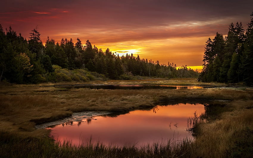Sunset, reflecting, sky, nature, lake HD wallpaper