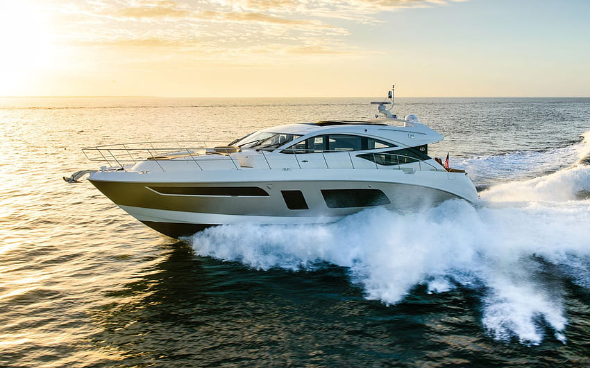 Sea Ray L650 - Tests, news, , videos, Yacht Boat HD wallpaper | Pxfuel