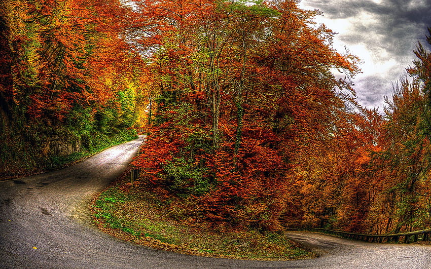 Serpentine Road Perfect Autumn . Serpentine Road Perfect Autumn stock, Perfect Fall HD wallpaper