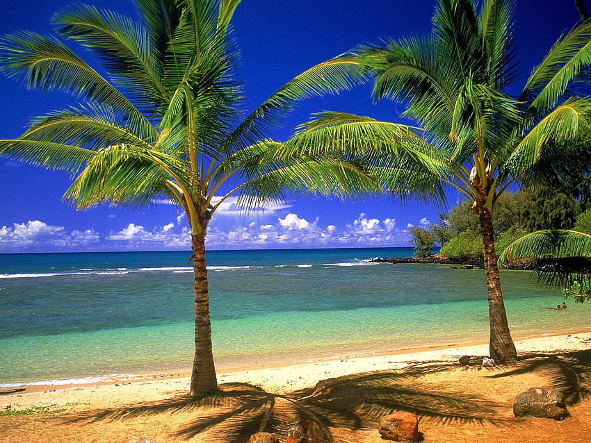 Scene della spiaggia delle Hawaii, Hawaii 3D Sfondo HD