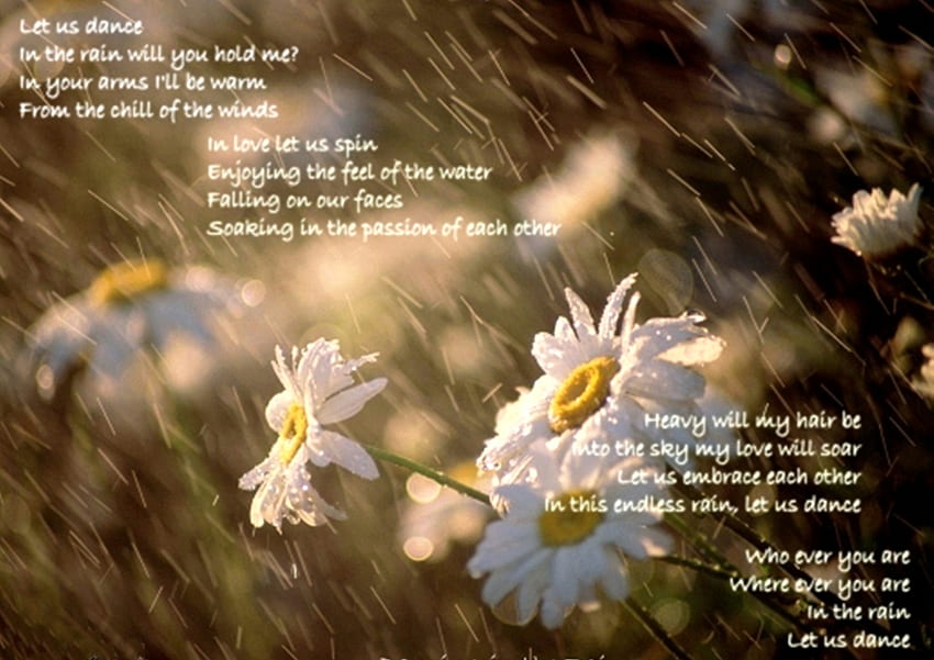 Menari dalam Hujan, puisi, bunga, hujan, menari Wallpaper HD
