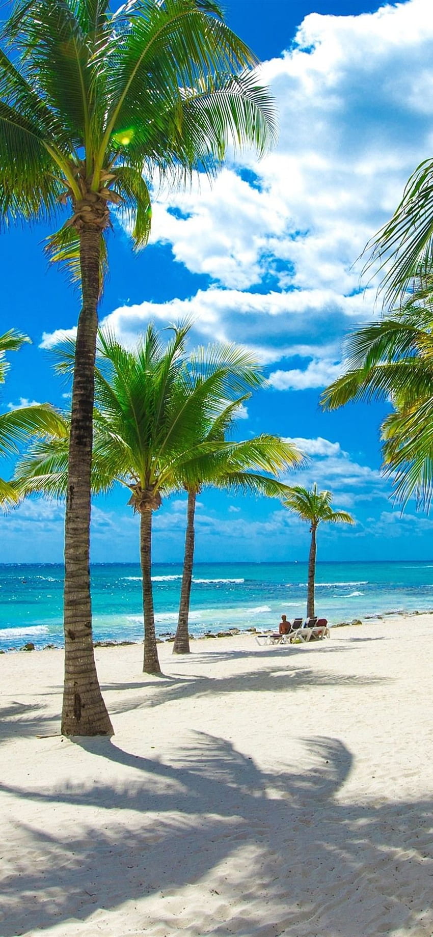 Download Summer Tropical Beach Iphone Wallpaper  Wallpaperscom