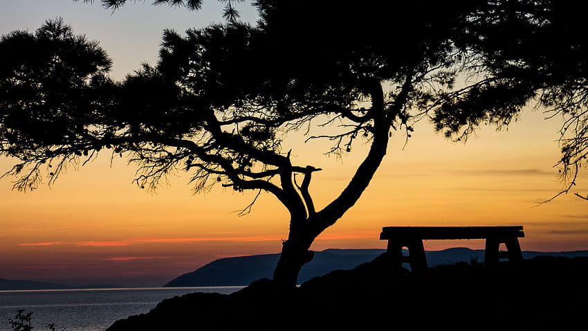 Tree Branches Bench Ocean Mountain Silhouette Background Sunset Dark Background HD wallpaper