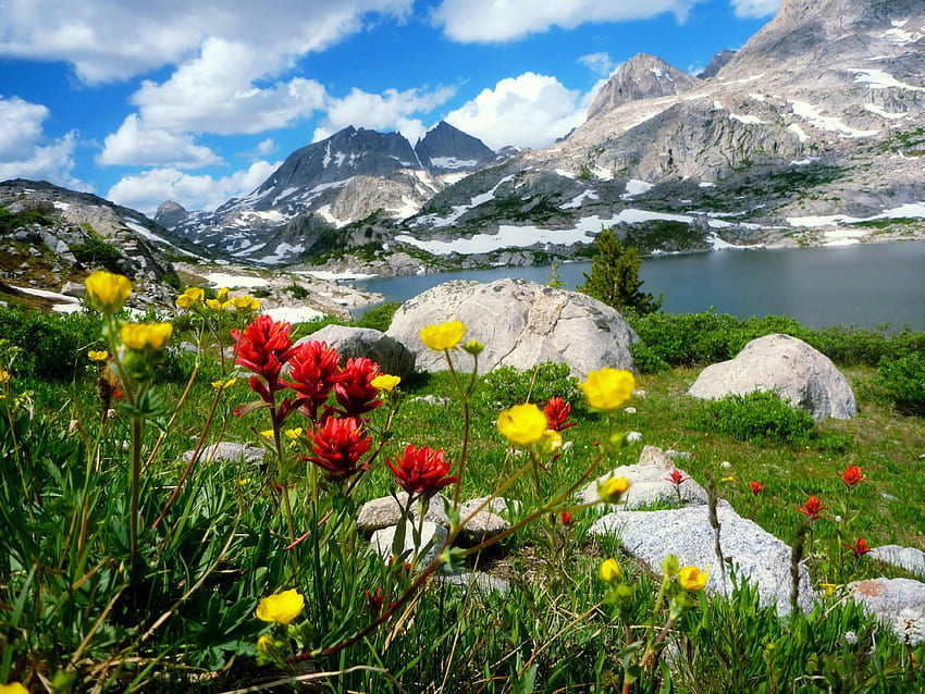 Пролет в планината, река, снежно, пейзаж, поляна, красива, пролет, скали, камъни, планина, езеро, диви цветя, скали, цветя, небе, връх, прекрасен HD тапет