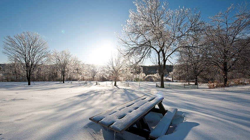아름다운 겨울 풍경 눈 덮인 나무 햇빛 푸른 하늘 겨울 HD 월페이퍼