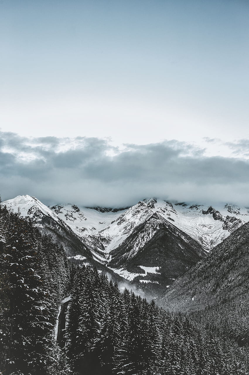 冬, 自然, 木, 山, 雲, 雪, 雪に覆われた, スノーバウンド HD電話の壁紙