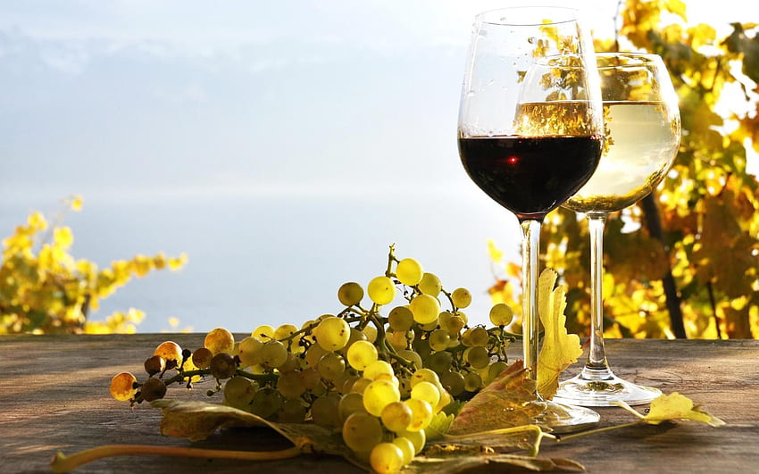 121744, anggur layar lebar beresolusi tinggi. Mencicipi anggur, anggur merah, minuman anggur, negara anggur Wallpaper HD