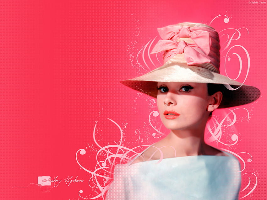 Audrey Hepburn, linda, rosa, atriz, fêmea papel de parede HD