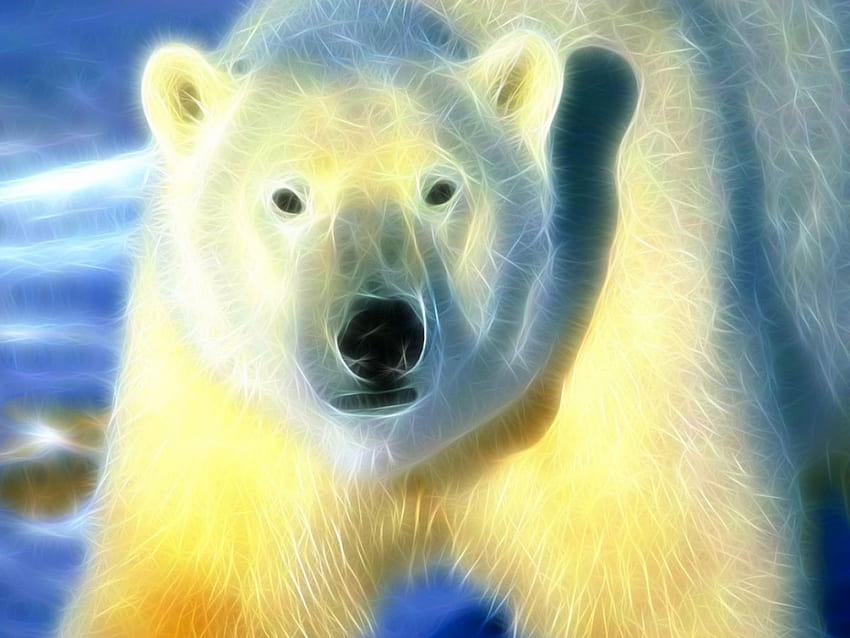 Sun lite polar bear, Winter, Sun, Cold, Polar bear HD wallpaper