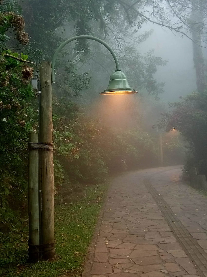 Pusta ulica z lampą w mglistym parku · Tapeta na telefon HD