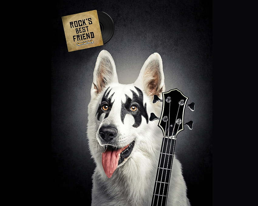 Rock's best friend, dog, animal, white, black, guitar, instrument, creative, fantasy, funny, tiago hoisel, caine HD wallpaper