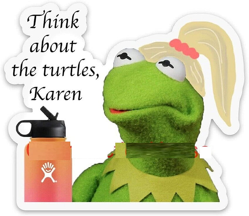 Kermit Frog Think About The Turtles Karen Water Bottle Vsco Girl, Aesthetic Kermit HD wallpaper