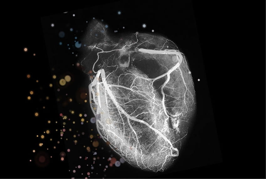 Cardiology . Cardiology, Medical Heart HD wallpaper