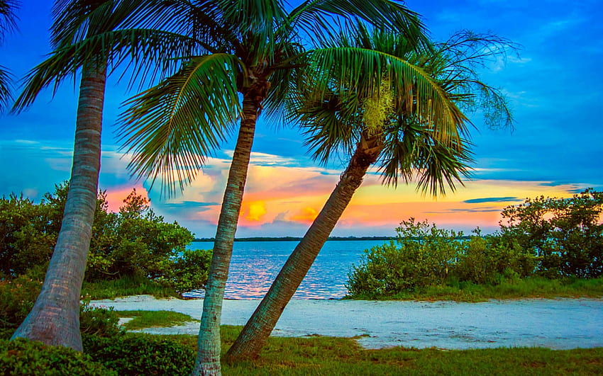 Sonnenuntergang am Cocoa Beach, Kakao, Sonnenuntergang, am Strand HD-Hintergrundbild