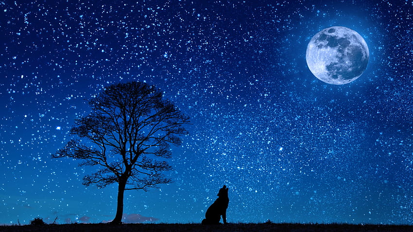 Moon, Vector, Wood, Tree, Starry Sky, Wolf HD wallpaper