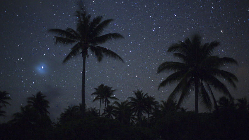 Landscapes stars French Polynesia palm trees . . 319779 HD wallpaper