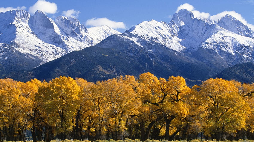 Arbres d'automne paysage avec des feuilles jaunes, des montagnes enneigées avec Snow National Park Colorado Fond d'écran HD