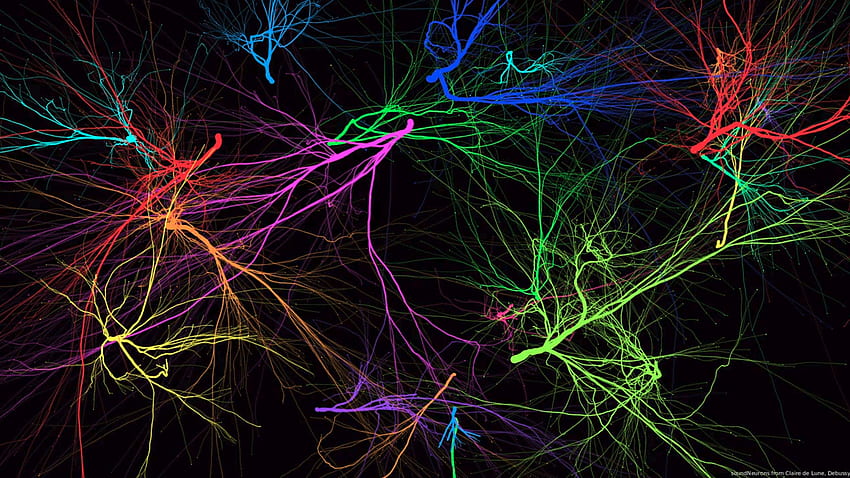 Neurons wallpaper  3D wallpapers  10610
