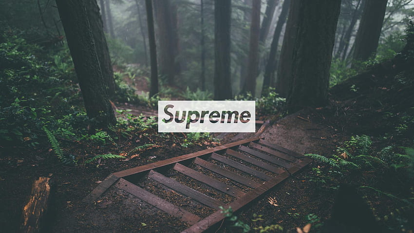 Hypebeast - Collections HD wallpaper | Pxfuel