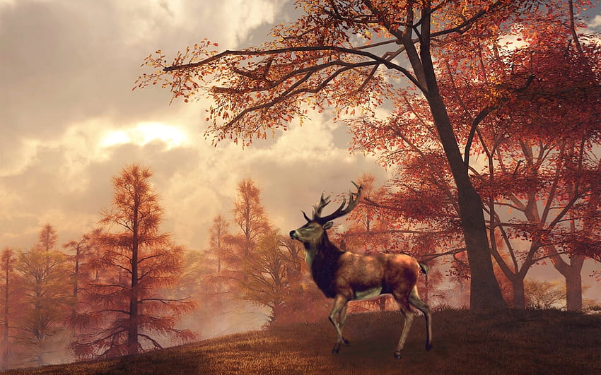 Autumn Stag in Woods, woods, deer, Fall, nature, stag, Colors, Autumn, forest HD wallpaper